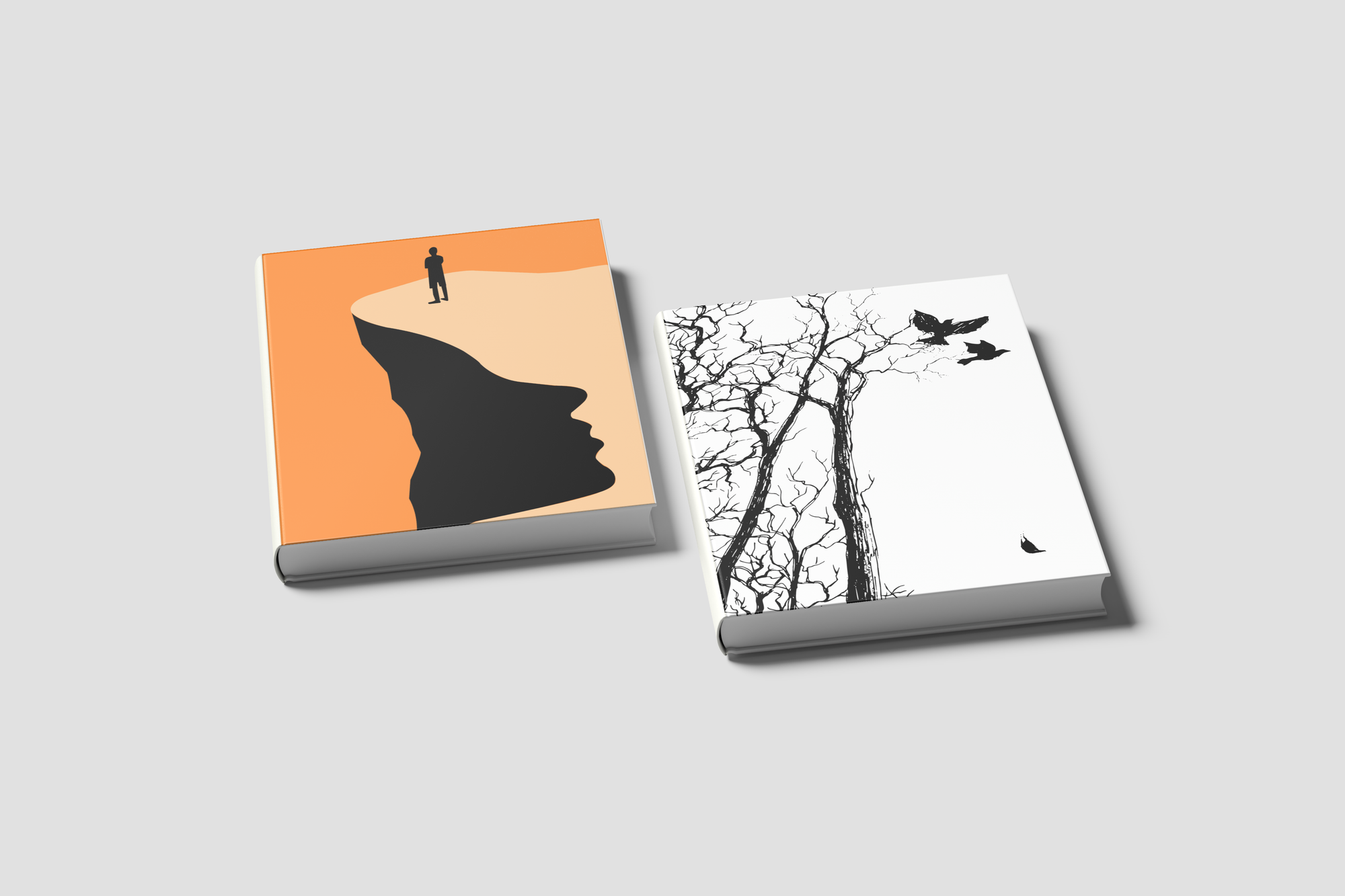 Libros gráficos